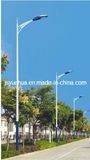 6m LED Street Light (YHLD-006)