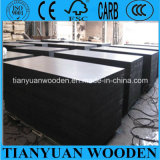 Film Faced Hardwood Plywood/Shuttering Plywood 12mm