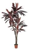 Artificial Plants and Flowers of Big Cordyline 78lvs 5 Heads