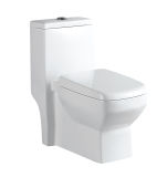 Washdown One-Piece Ceramic Toilet CE-T168