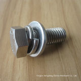 Stainless Steel Hex Head Bolt with Nut and Washer