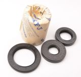 Industrial Tc Framework Rubber Oil Seal (zb075A)