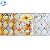 20X30cm of 3D Inkjet Print Ceramic Wall Tiles for Kitchen and Bathroom
