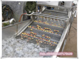 Vegetable and Fruit Washer: Bubble Date Cleaning Machine