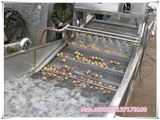 Vegetable and Fruit Washer: Bubble Date Cleaning Machine