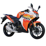 High Speed Cruise 300cc Gas off Road Motorcycles for Sale