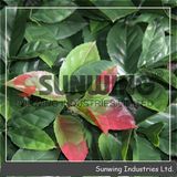 Cheap Artificial Green Fake Plant Walls