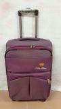 EVA/Polyester Business/Travel Luggage (XHI4008)