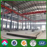 Prefab Light Steel Structure Workshop Building with 5T Cranes (XGZ-SSB011)