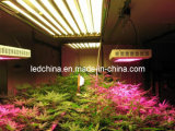 600W LED Flower Plant Grow Light