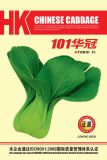101 Hua Guan Green-Stalk Cabbage Seeds