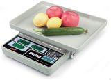 Multifunctional Price Computing, Counting Scale, Hand-Held Price Scale a-826