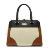New Trend Lady Leather Handbag Contrast Color Fashion Bag (CSYH228-001)