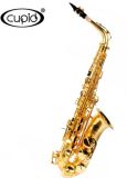 Professional Alto Saxophone Model 301201 Sg Hot-Sale