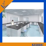 Laboratory All Steel Counter Design