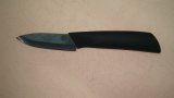 Zirconia Ceramic Knife/Kitchen Knife/Paring Knife (FS1-B03)