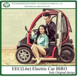 Electric Driven Car