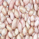 Raw Peanut Kernels (new crop)