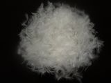 Washed White Duck Feather