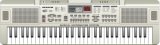 Keyboards Music Instrument (816USB)
