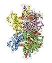 Metabolism Promoting Glutamate Dehydrogenase