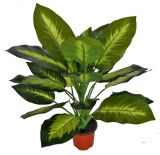 High Quality of Artificial Plants Dieffenbachia with 20 Lvs