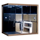 Professional Sauna Steam Shower Room (SR166)