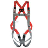 Safety Belt & Safety Harness (50327)