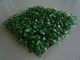 Artificial Plastic Square Boxwood Mat Foliage - 4