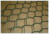 Hexagonal Wire Mesh (3)