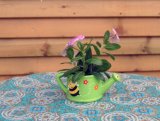 5.5 Inch Colorized Terracotta Garden Pot Planting (901011) 