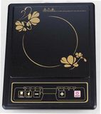 2000W Induction Cooker