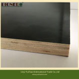 Construction Plywood with Brown Film and Black Film