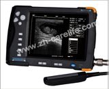 7 Inch Bovine Ultrasound Scanner--CD66V