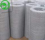 Galvanized Welded Wire Mesh