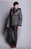 Young Man M Slim Down Coat New Style China Manufacture