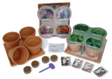 6.5 Inch Terracotta Combination Pot Planting (001003) 