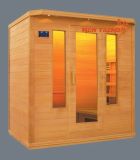 Family Sauna Room (041HD)