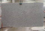 Granite Slab (G623)