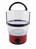 Food Steamer (KL-809B)