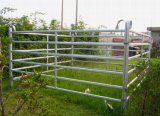 Security Hot Dipped Galvanized Livestock Panel