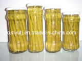 Canned Asparagus with High Quality