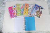 Spiral Notebook
