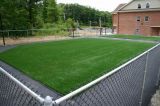 Monofilament Sport Artificial Grass (OG-06)