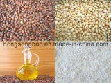 Pine Nut Products