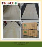 Birch Plywood for Packing 001
