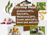 Animal Feed- Shrimp Meal (protein 60%min)