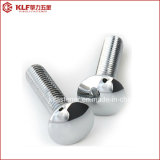 DIN603 Stainless Steel Cap Head Square Neck Carriage Bolt