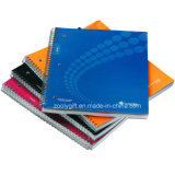 Wholesale Spiral Excercise Notebooks Cheap Paper Cover Notebooks