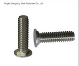 DIN603 High Quality Carriage Bolt /Mushroom Head Square Neck Bolt